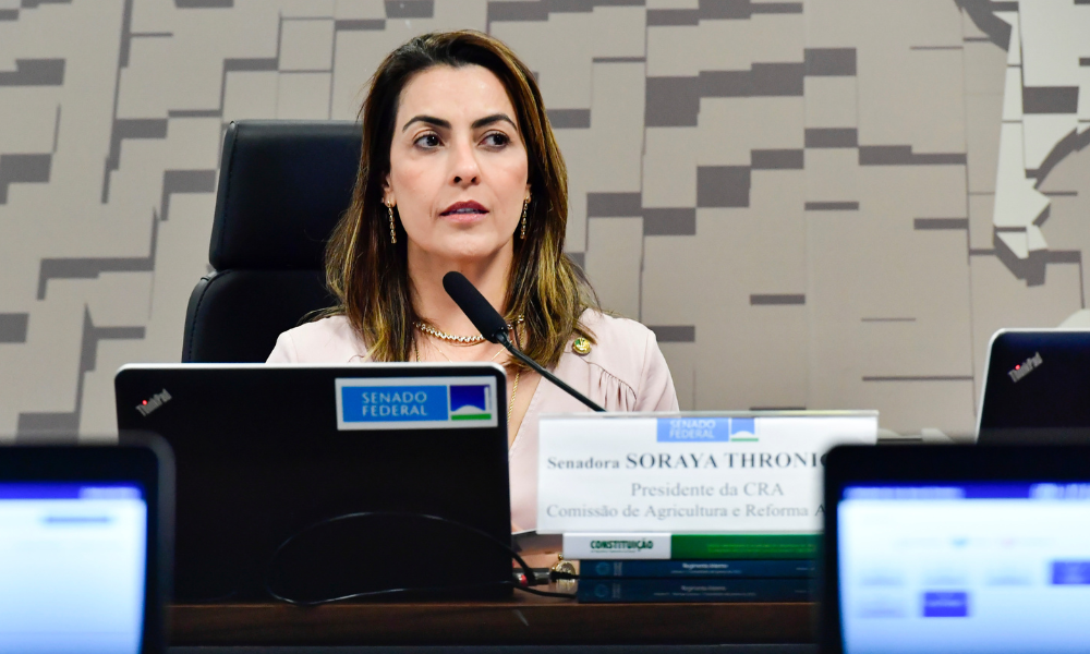 Thronicke diz que pedirá desculpas a Gaspar se acusação de estupro não se confirmar thronicke-diz-que-pedira-desculpas-a-gaspar-se-acusacao-de-estupro-nao-se-confirmar