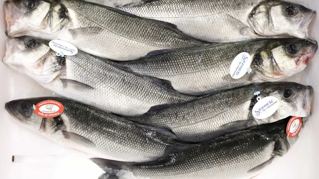 Vigilância Sanitária orienta sobre compra de pescado na Semana Santa vigilancia-sanitaria-orienta-sobre-compra-de-pescado-na-semana-santa