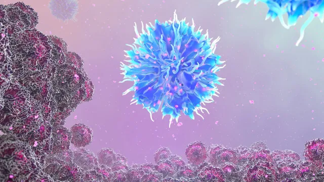 Alerta! “Câncer será a maior causa de mortalidade no Brasil” alerta!-“cancer-sera-a-maior-causa-de-mortalidade-no-brasil”