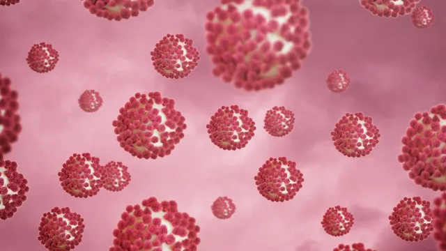 Norovírus e hantavírus: entenda diferenças e qual preocupa mais norovirus-e-hantavirus:-entenda-diferencas-e-qual-preocupa-mais