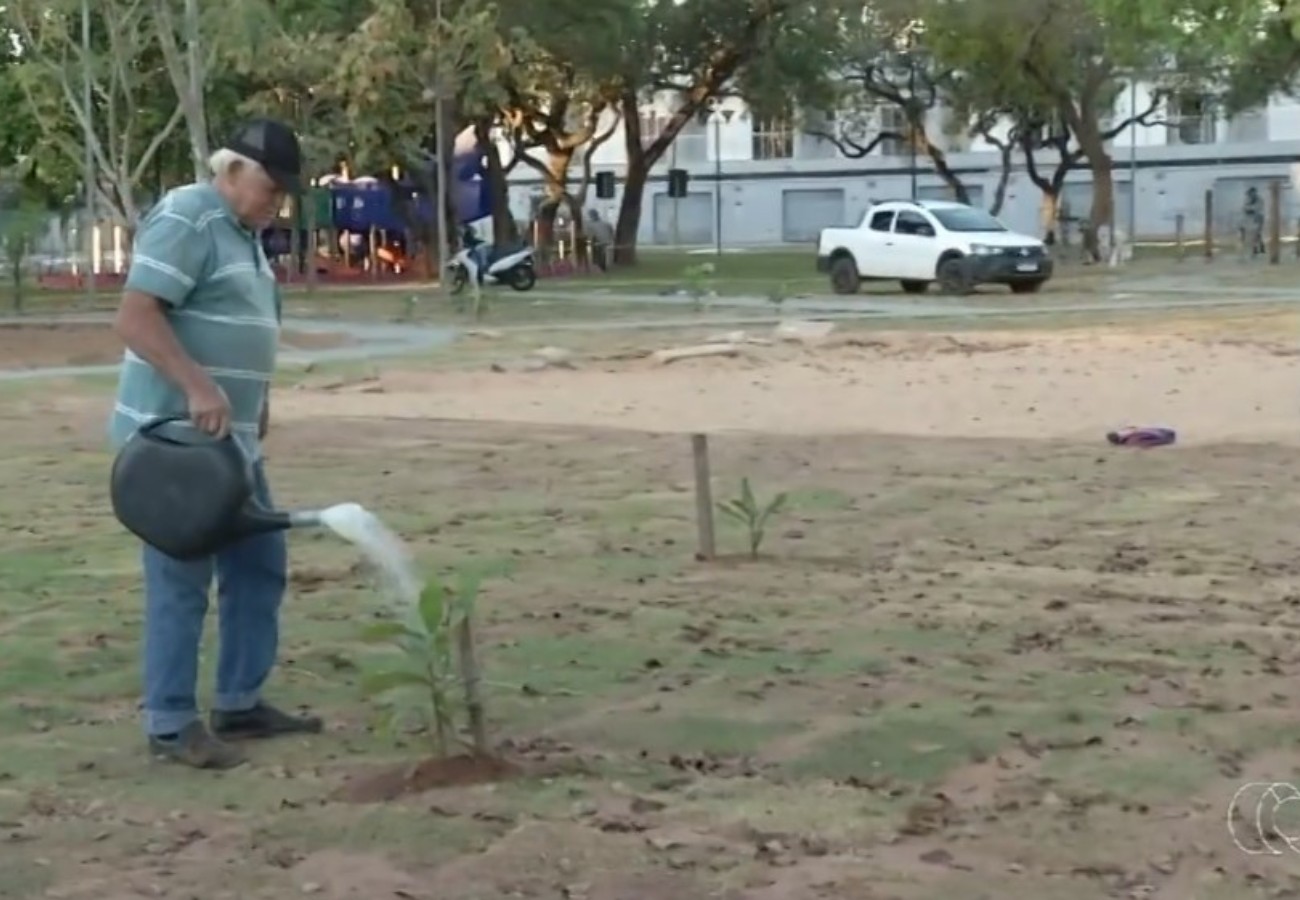 Conheça o aposentado que há oito anos transforma praça de Palmas com árvores frutíferas; conheca-o-aposentado-que-ha-oito-anos-transforma-praca-de-palmas-com-arvores-frutiferas;