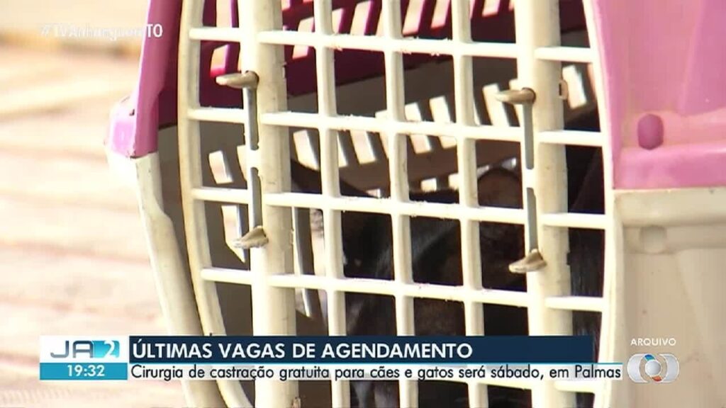 -TO de 30 de julho de -to-de-30-de-julho-de