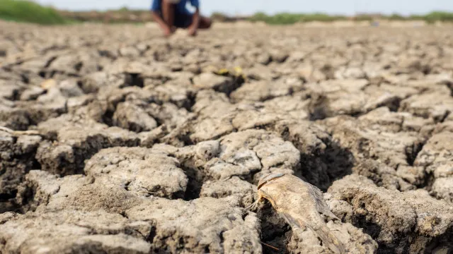 Com El Niño, Ibama autoriza redução de vazão de água em Belo Monte a nível mínimo com-el-nino,-ibama-autoriza-reducao-de-vazao-de-agua-em-belo-monte-a-nivel-minimo
