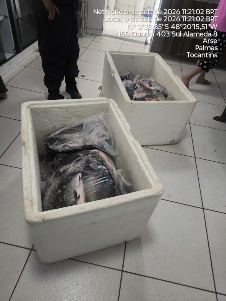 Guarda Metropolitana apreende 107 kg de pescado irregular e prende homem com mandado em aberto guarda-metropolitana-apreende-107-kg-de-pescado-irregular-e-prende-homem-com-mandado-em-aberto